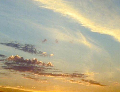 Transform Your Imaging Workflow – HRZ Newsletter – Nov. 25 Edition